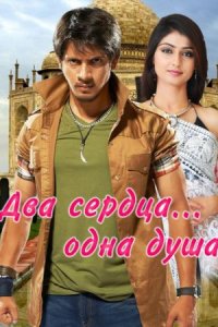 ��� ������ - ���� ����