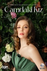 Девушка за стеклом Девушка за стеклом