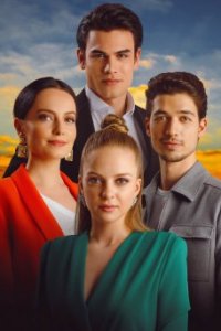 ����� ������ ���